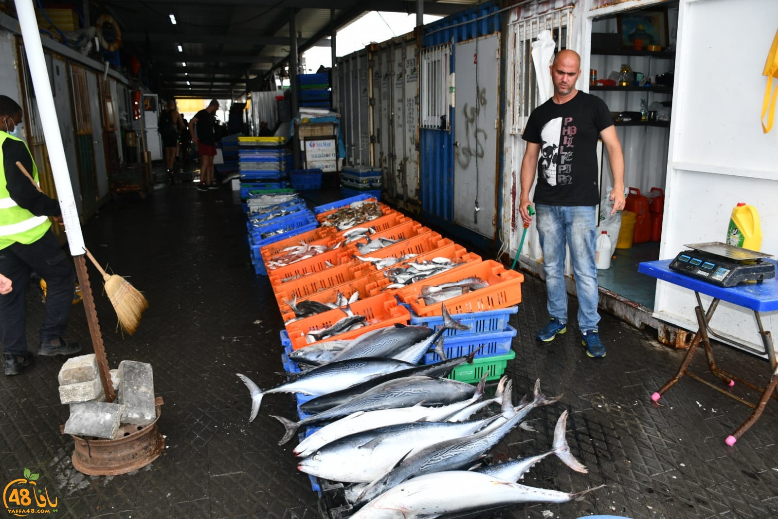  بمناسبة العيد - تخفيضات على الأسماك لدى الريس ابراهيم سوري في ميناء يافا 